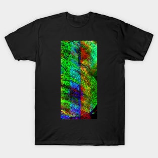 GF275 Art and Abstract T-Shirt